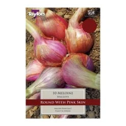 Taylors Shallot Meloine Bulbs