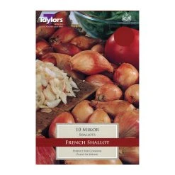 Taylors Shallot Mikor Bulbs
