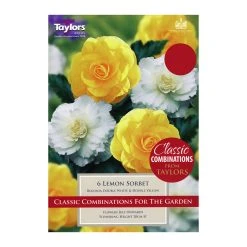 Taylors Begonia Lemon Sorbet