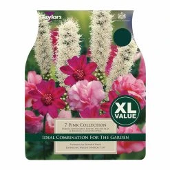 Taylors Pink Collection