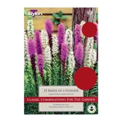 Taylors Birds Of A Feather Collection