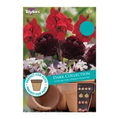 Taylors Dark Collection