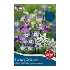 Taylors Scented Collection