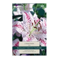 Taylors Lily Solution Bulbs