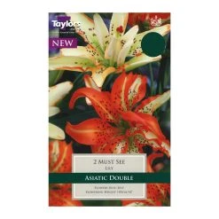 Taylors Lily Must See Bulbs