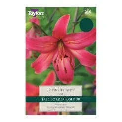 Taylors Lily Pink Flight Bulbs