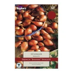Taylors Shallot Longor Bulbs