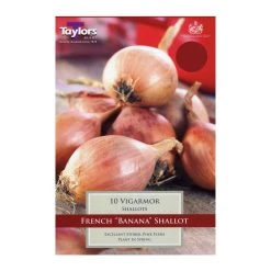 Taylors Shallot Vigarmor Bulbs