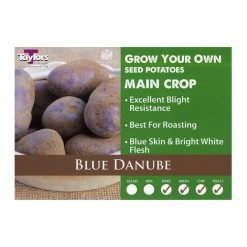 Taylors Blue Danube Seed Potatoes 2kg