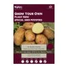 Taylors Main Crop Mary's Rose Seed Potatoes 10 Pack