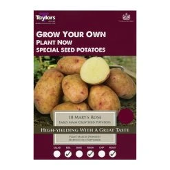Taylors Main Crop Mary's Rose Seed Potatoes 10 Pack