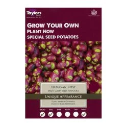 Taylors Main Crop Mayan Rose Seed Potatoes 10 Pack