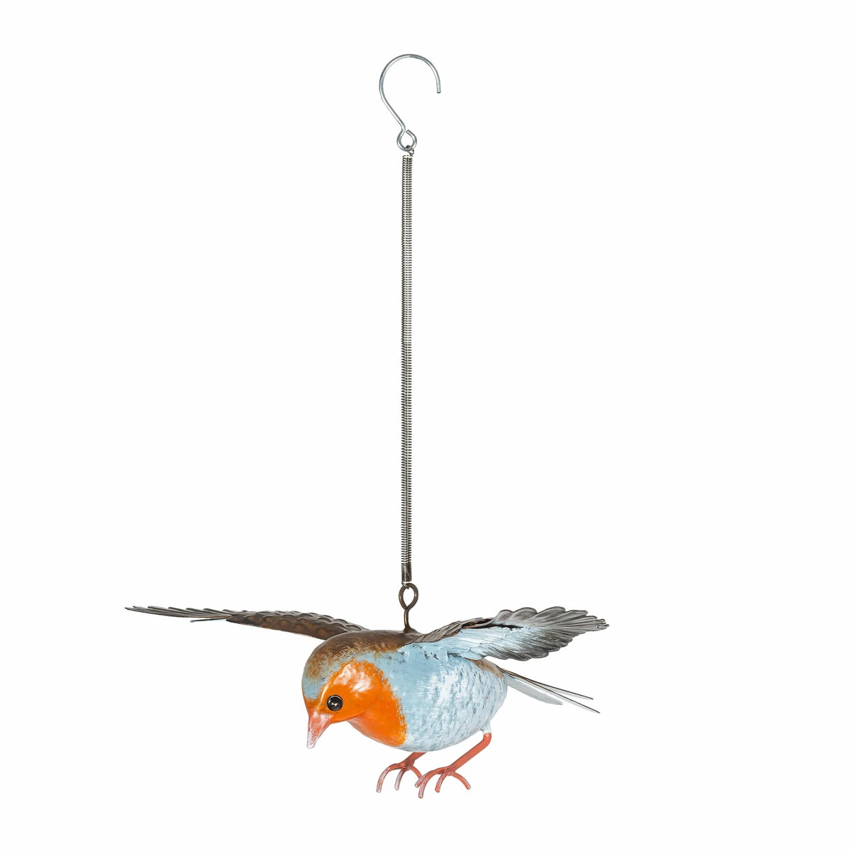 Vida Robin In Flight 1 Vida Robin In Flight