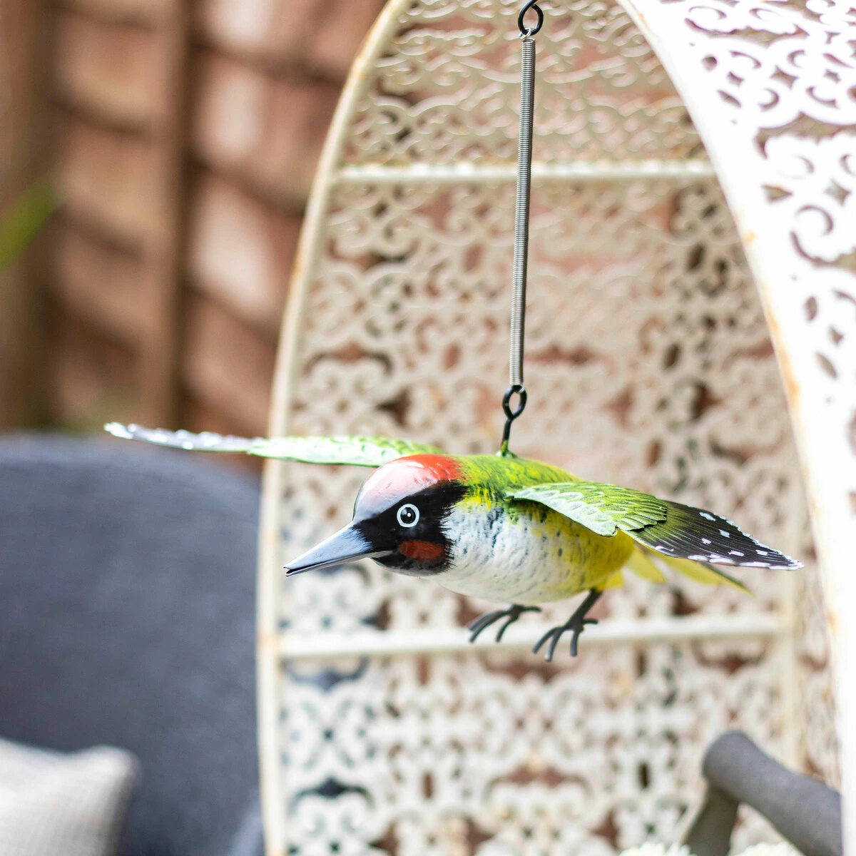 Vida Woodpecker In Flight 1 Vida Woodpecker In Flight