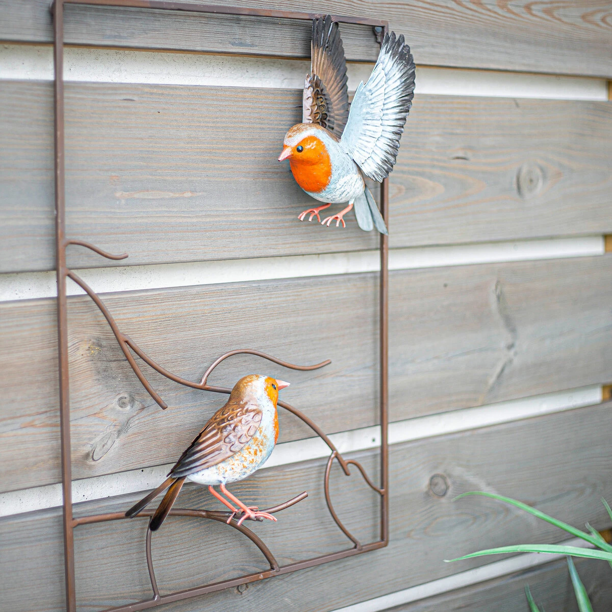 Vida Tree Top Robins 1 Vida Tree Top Robins