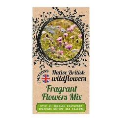 Suttons Seeds Suttons Seed Fragrant Flowers Mix -Kent &amp Stowe butik 9111785 leftoffront 1200Wx1200H