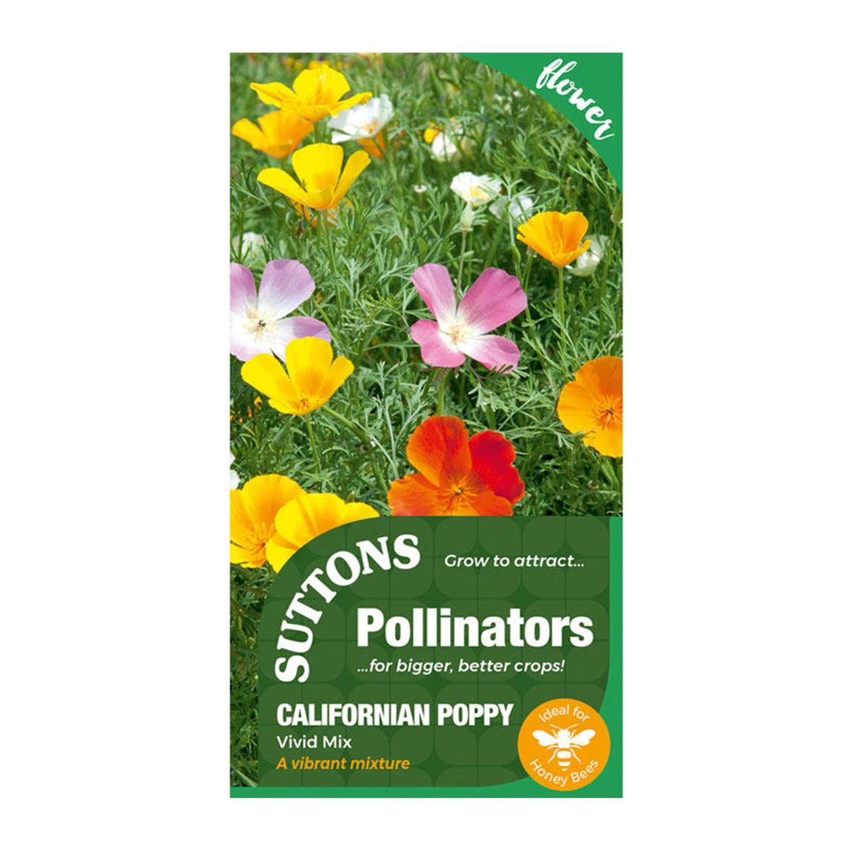 Suttons Seeds Suttons P & P Californian Poppy Vivid Mix 2 Suttons Seeds Suttons P & P Californian Poppy Vivid Mix - Billede 2