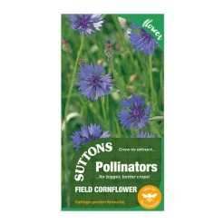 Suttons Seeds Suttons P & P Field Cornflower