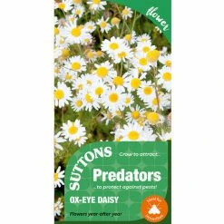 Suttons Seeds Suttons P & P Ox Eye Daisy