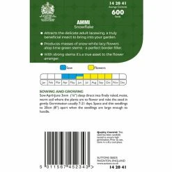 Suttons Seeds Suttons P & P Ammi Snowflake