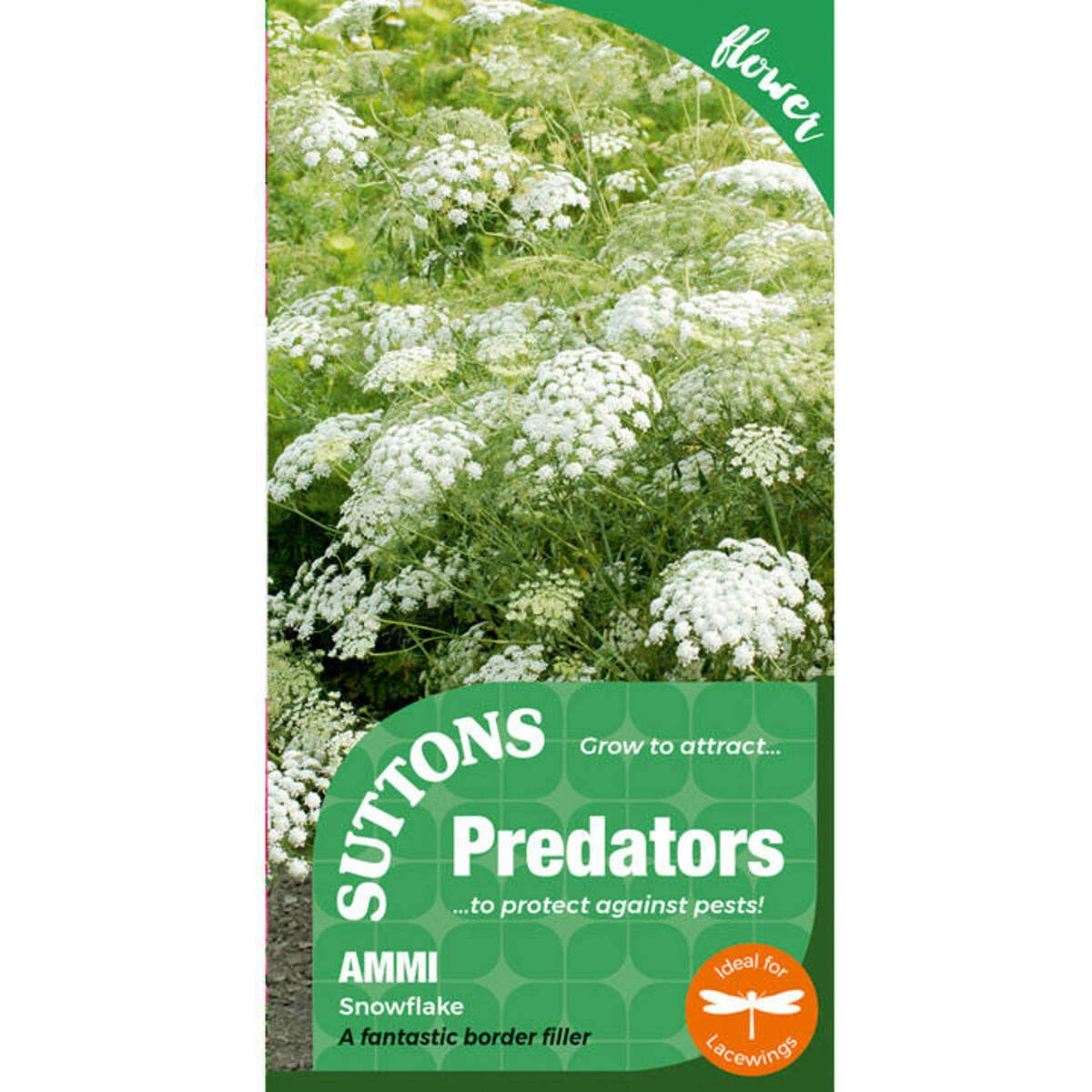 Suttons Seeds Suttons P & P Ammi Snowflake 2 Suttons Seeds Suttons P & P Ammi Snowflake - Billede 2