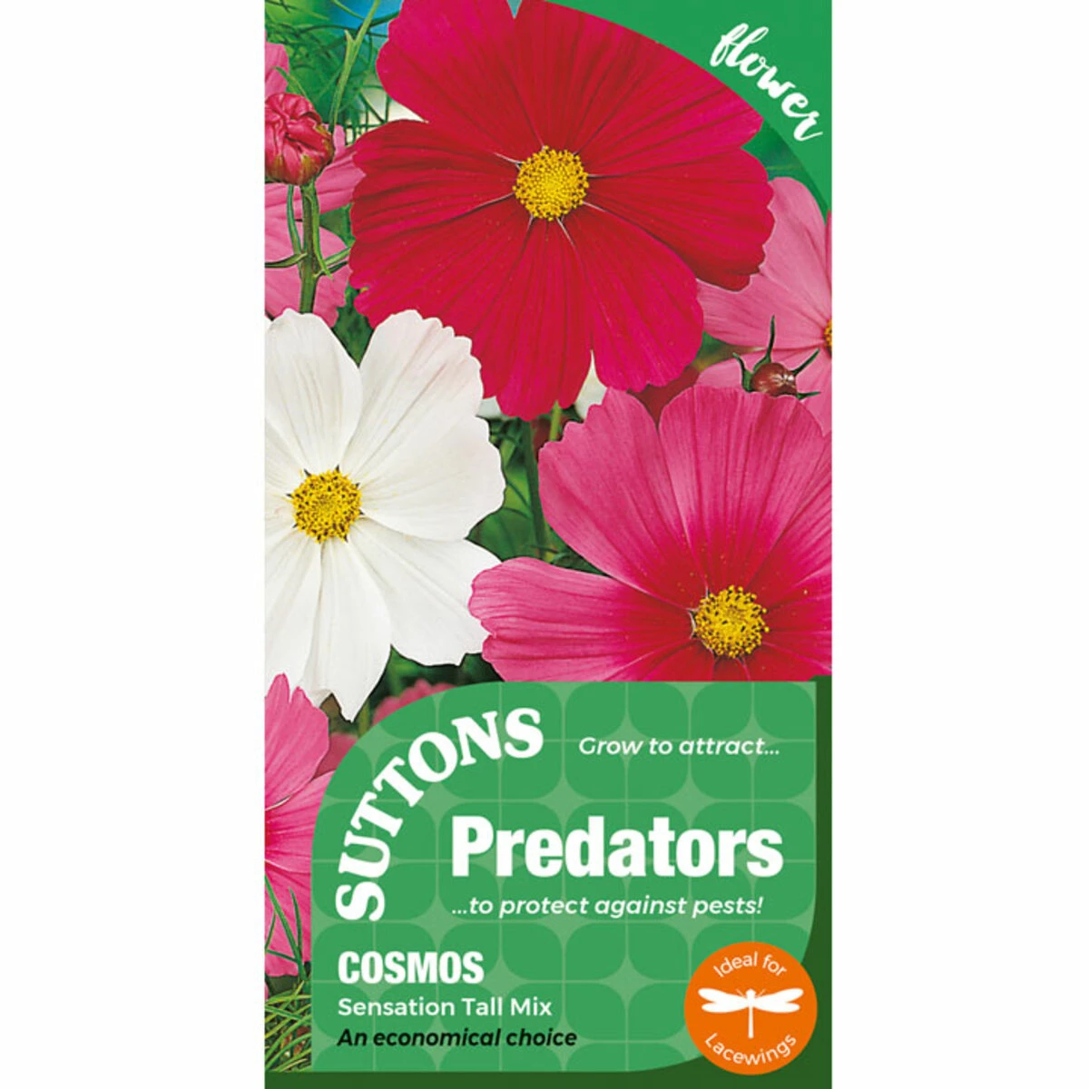 Suttons Seeds Suttons P & P Cosmos Sensation Tall 2 Suttons Seeds Suttons P & P Cosmos Sensation Tall - Billede 2