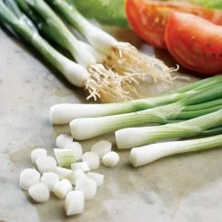 Suttons Seeds Fun To Grow Onion Seeds - Grow A Lightsabre