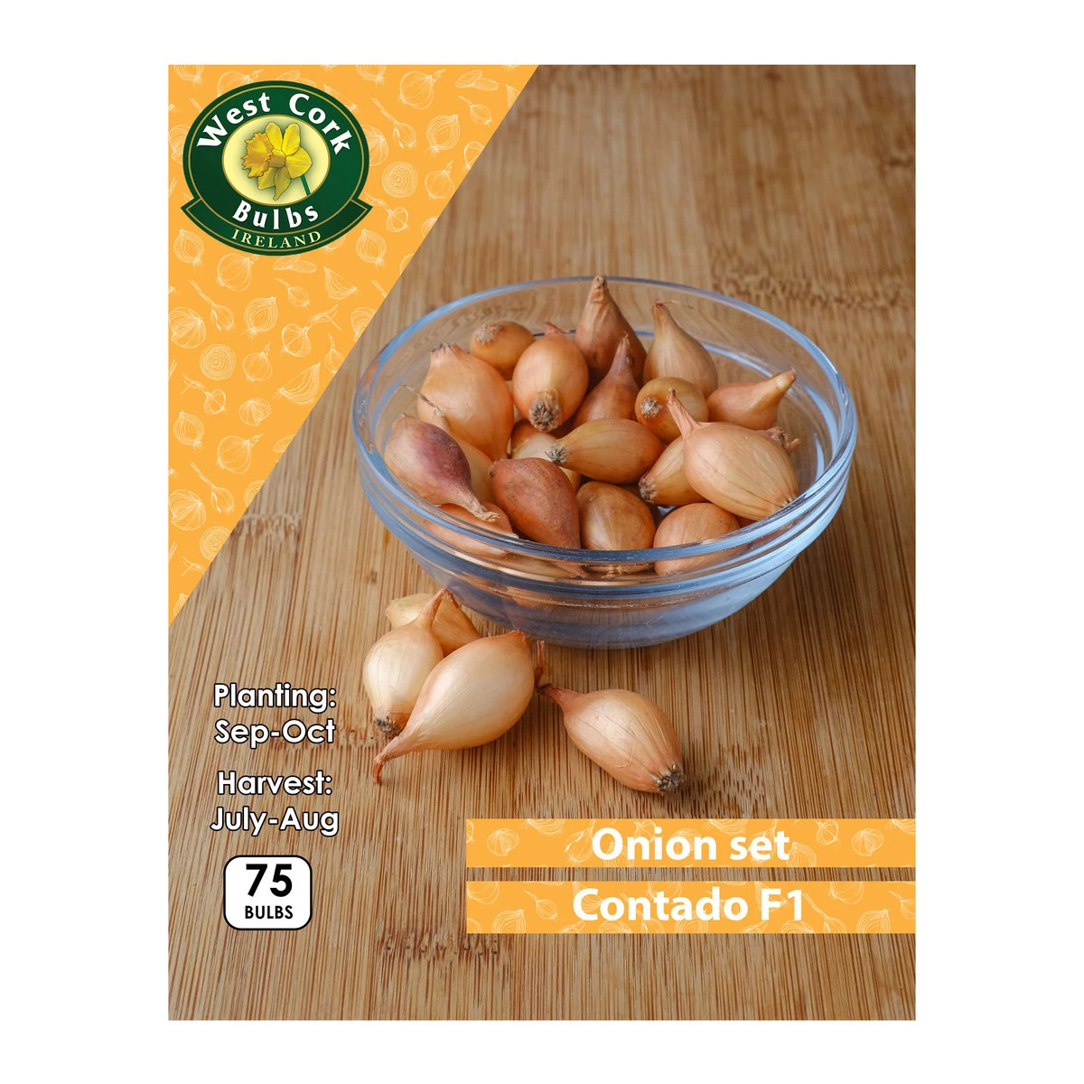West Cork Bulbs Onion Sets Contado F1 75 Bulbs 1 West Cork Bulbs Onion Sets Contado F1 75 Bulbs