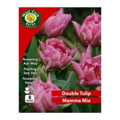 West Cork Bulbs Tulip Double Mamma Mia 8 Bulbs Prepack