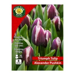 West Cork Bulbs Tulip Alexander Pushkin 8 Bulbs Prepack