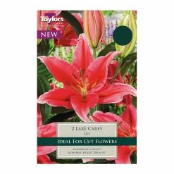 Taylors Lily Lake Carey