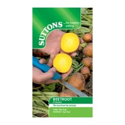 Suttons Seeds Beetroot - F1 Bolder