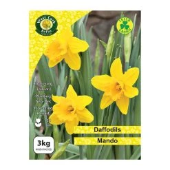West Cork Bulbs Daffodils Mando 3kg