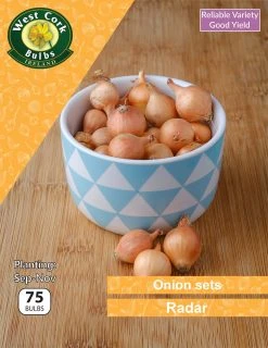 West Cork Bulbs Onion Sets Radar 75 Bulbs