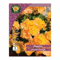 West Cork Bulbs Begonia Double Orange 3 Bulbs