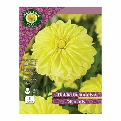 West Cork Bulbs Dahila Decorative Sunlady 1 Bulb