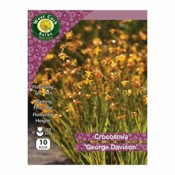 West Cork Bulbs Croscosmia Cros George Davidson 10 Bulbs