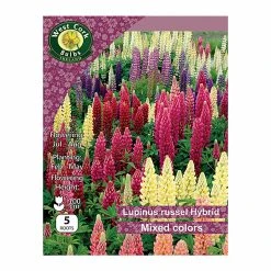 West Cork Bulbs Lupins Russel Hybris Mixed 5 Bulbs