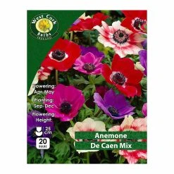 West Cork Bulbs Anemone Coronaria De Caen Mixed 20 Bulbs