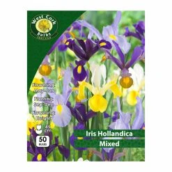 West Cork Bulbs Iris Hollandica Mixed Varieties 50 Bulbs