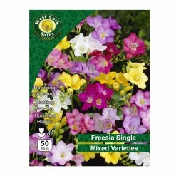 West Cork Bulbs Freesia Single Mixed 50 Bulbs