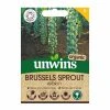 Unwins Organic Brussels Sprout Igor F1