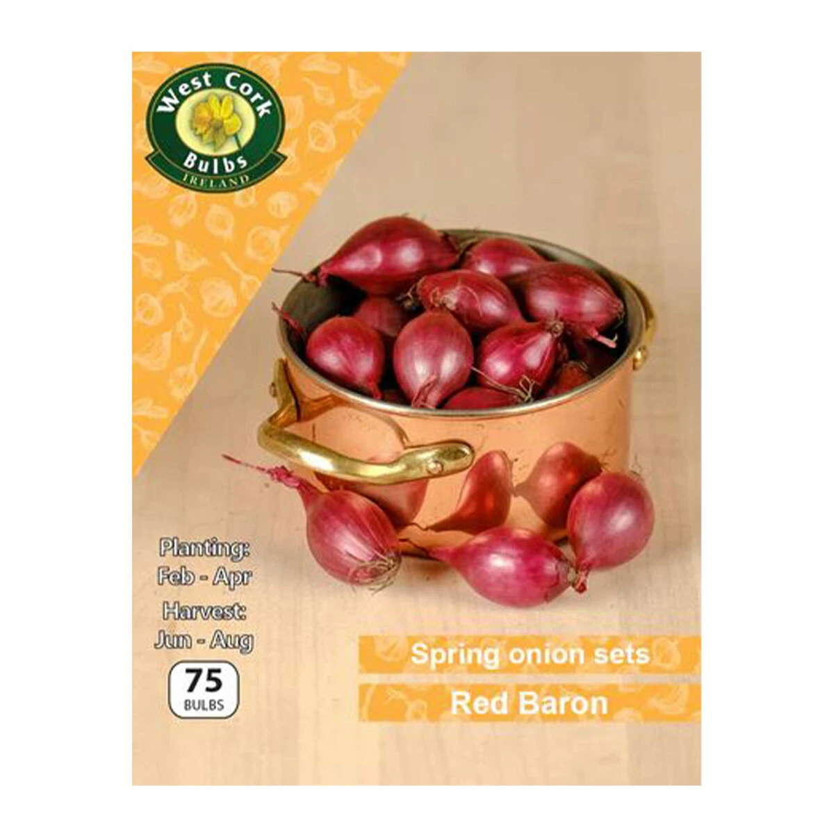 West Cork Bulbs West Cork Onion Sets Red Baron 75 Bulbs 3 West Cork Bulbs West Cork Onion Sets Red Baron 75 Bulbs - Billede 3