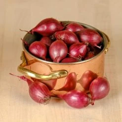 West Cork Bulbs West Cork Onion Sets Red Baron 75 Bulbs