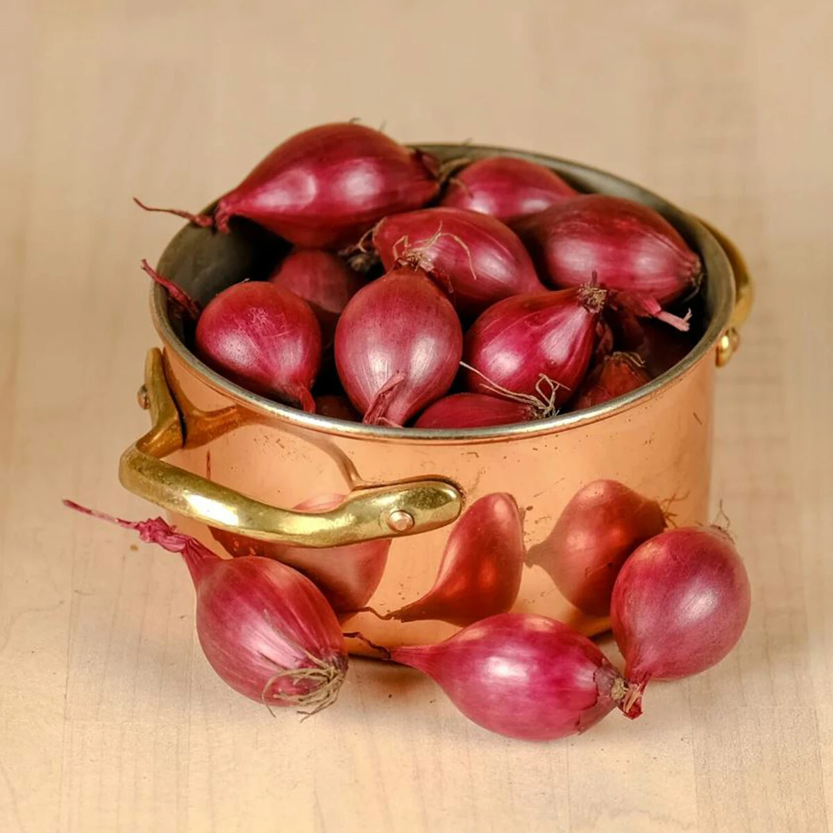 West Cork Bulbs West Cork Onion Sets Red Baron 75 Bulbs 1 West Cork Bulbs West Cork Onion Sets Red Baron 75 Bulbs