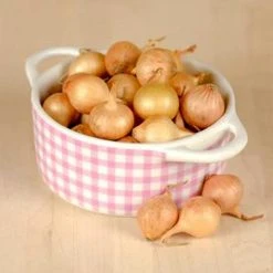 West Cork Bulbs West Cork Onion Sets Alpha 75 Bulbs