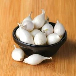 West Cork Bulbs West Cork Onion Sets White Snowball 75 Bulbs