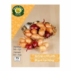 West Cork Bulbs West Cork Onion Sets Spring Varieties Mix 75 Bulbs
