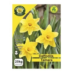 West Cork Bulbs Daffodils Tamara Bulbs