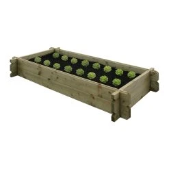 Woodford Vegetable Box